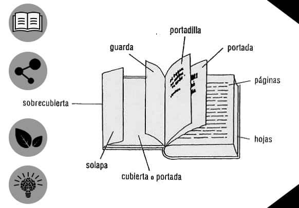Como esta compuesto un libro